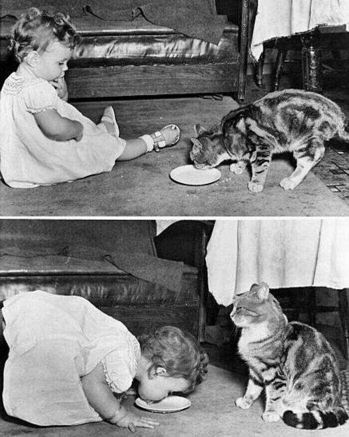 Charming Vintage Photos That Capture the Eternal Bond Between Kids And Cats