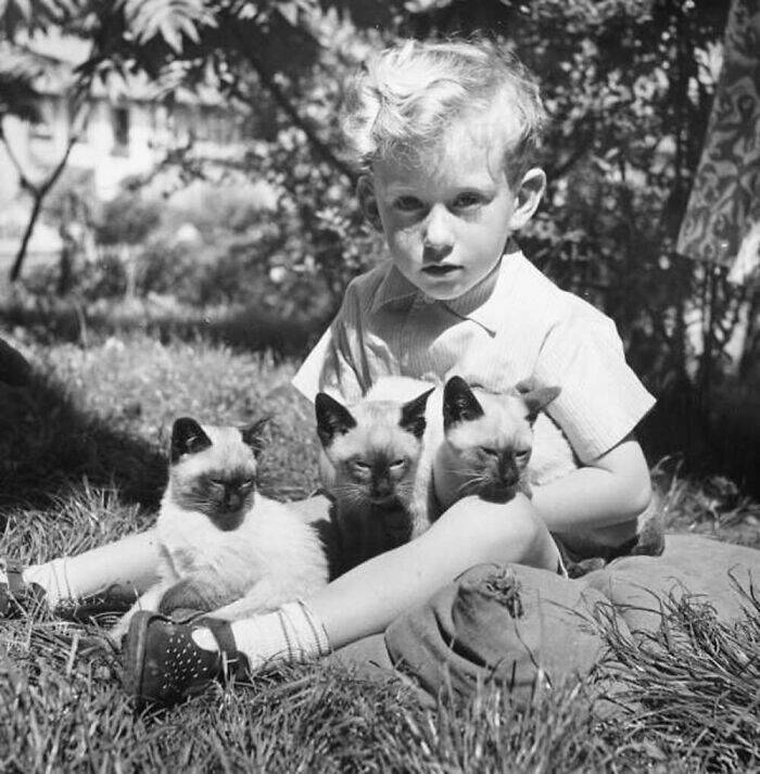 Charming Vintage Photos That Capture the Eternal Bond Between Kids And Cats