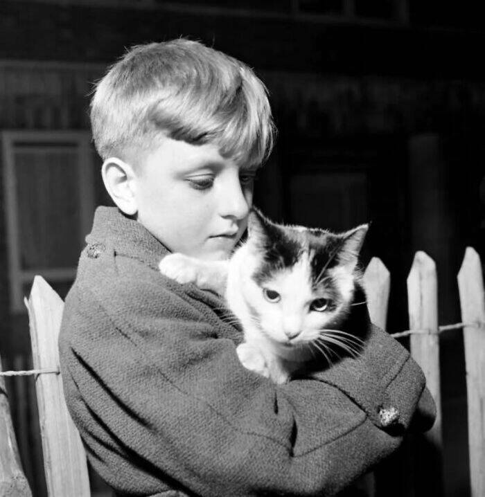 Charming Vintage Photos That Capture the Eternal Bond Between Kids And Cats