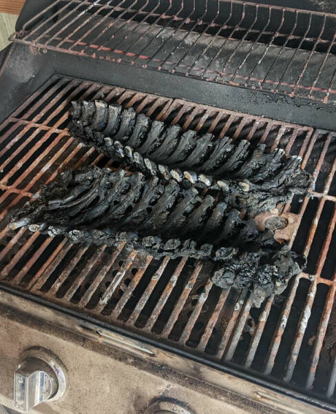 Cooking Disasters So Bad, Theyre Almost Impressive