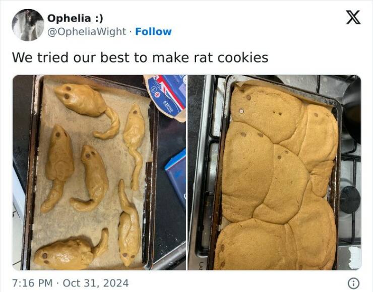 Cooking Disasters So Bad, Theyre Almost Impressive