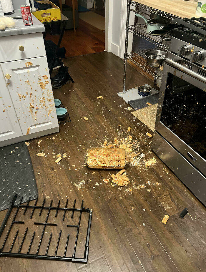 Cooking Disasters So Bad, Theyre Almost Impressive