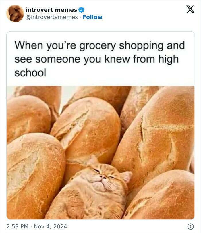 Introvert Memes That Understand You Better Than Your Friends Do