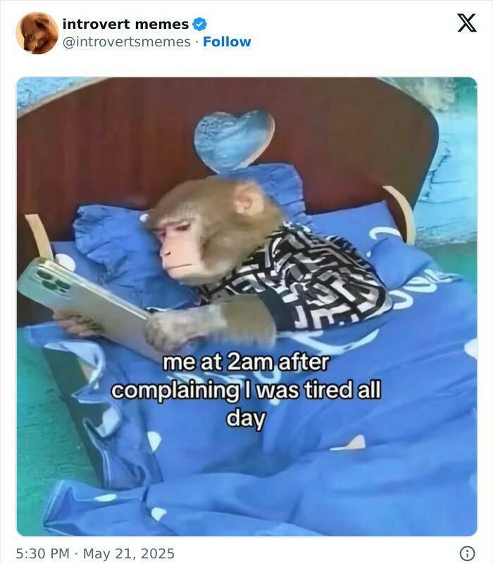 Introvert Memes That Understand You Better Than Your Friends Do