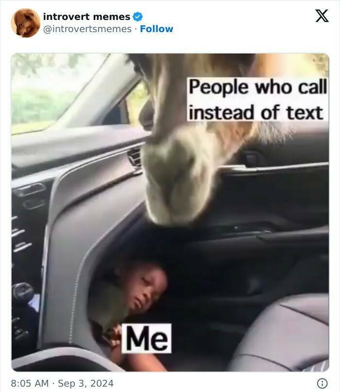 Introvert Memes That Understand You Better Than Your Friends Do