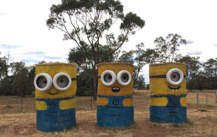 Morning Picdump Morning Picdump