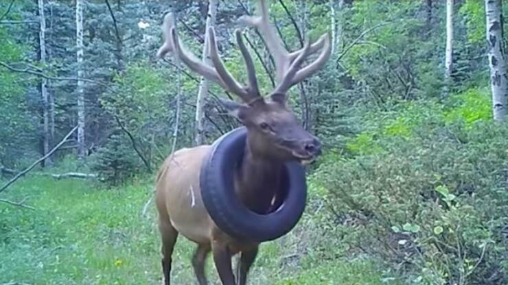 Morning Picdump Morning Picdump