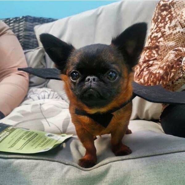 Morning Picdump Morning Picdump