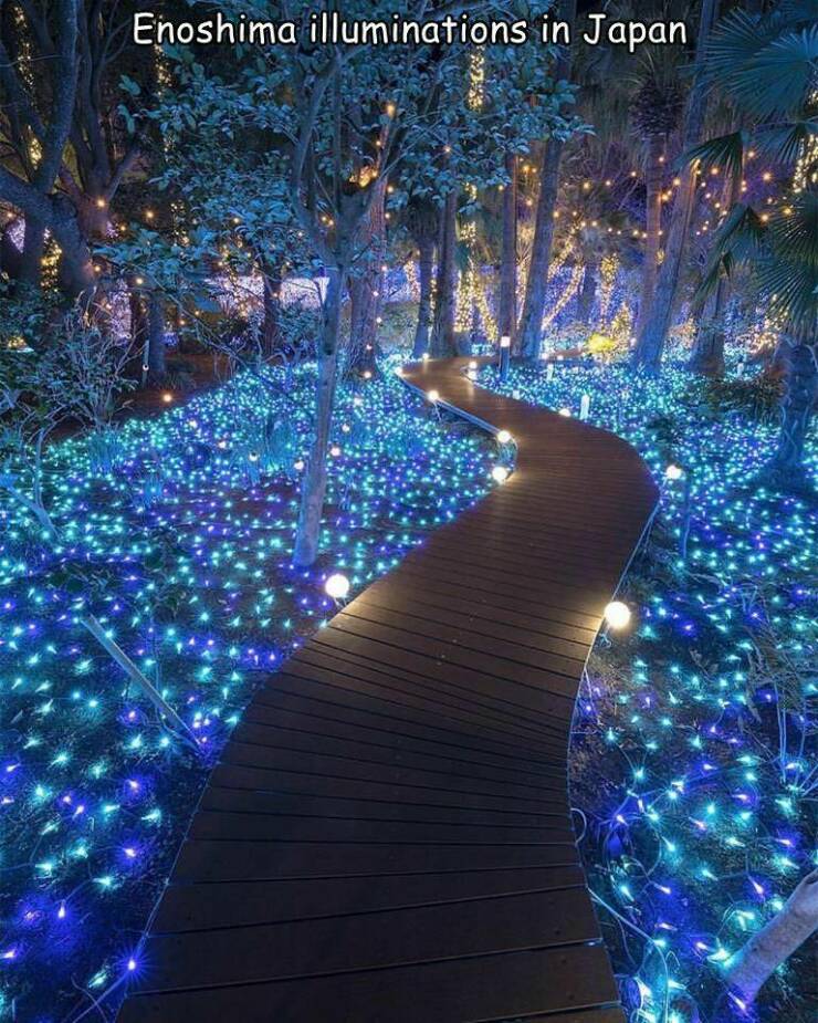 Morning Picdump Morning Picdump