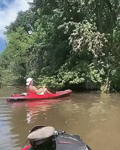 Daily Gifdump Daily Gifdump