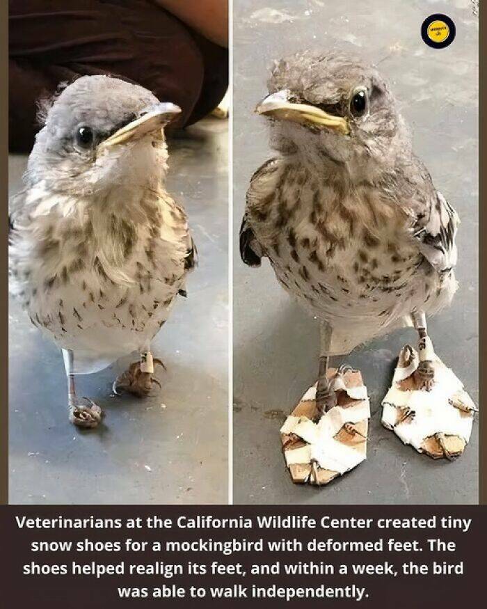 Hidden Facts and Untold Stories