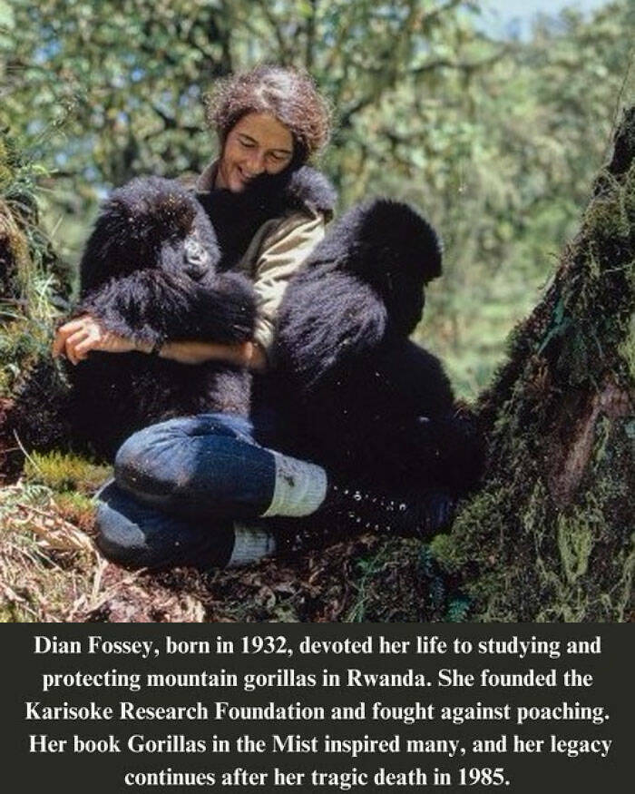 Hidden Facts and Untold Stories