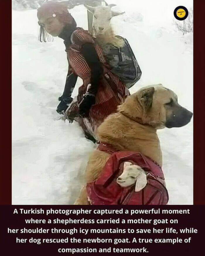 Hidden Facts and Untold Stories