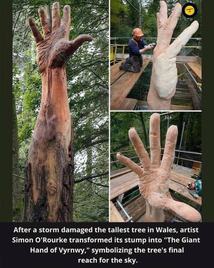 Hidden Facts and Untold Stories