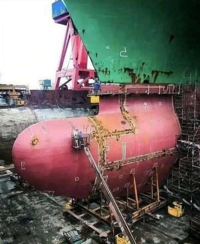 Hidden Facts and Untold Stories