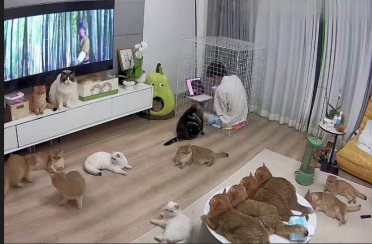 Morning Picdump Morning Picdump