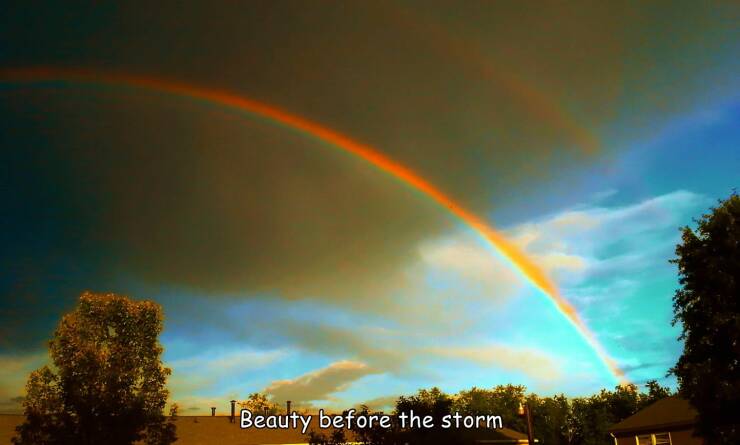 Morning Picdump Morning Picdump