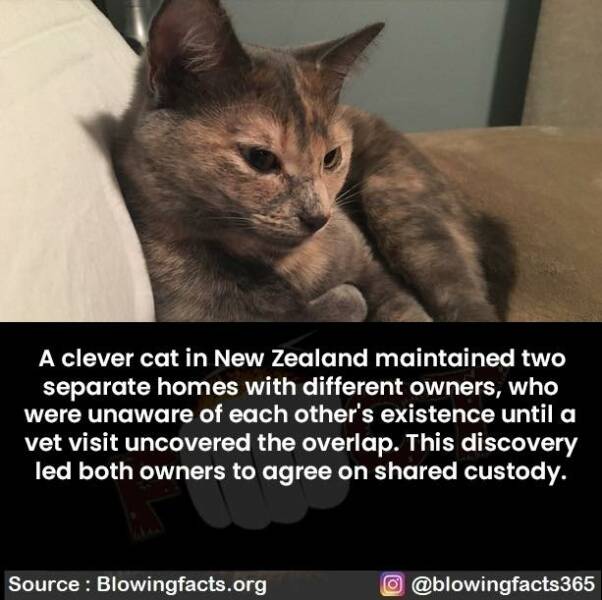 Morning Picdump Morning Picdump