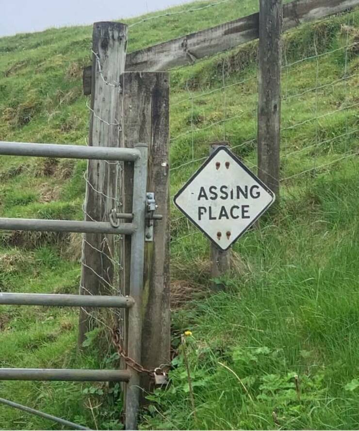 Morning Picdump Morning Picdump