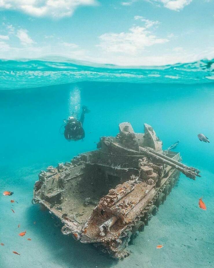 Morning Picdump Morning Picdump