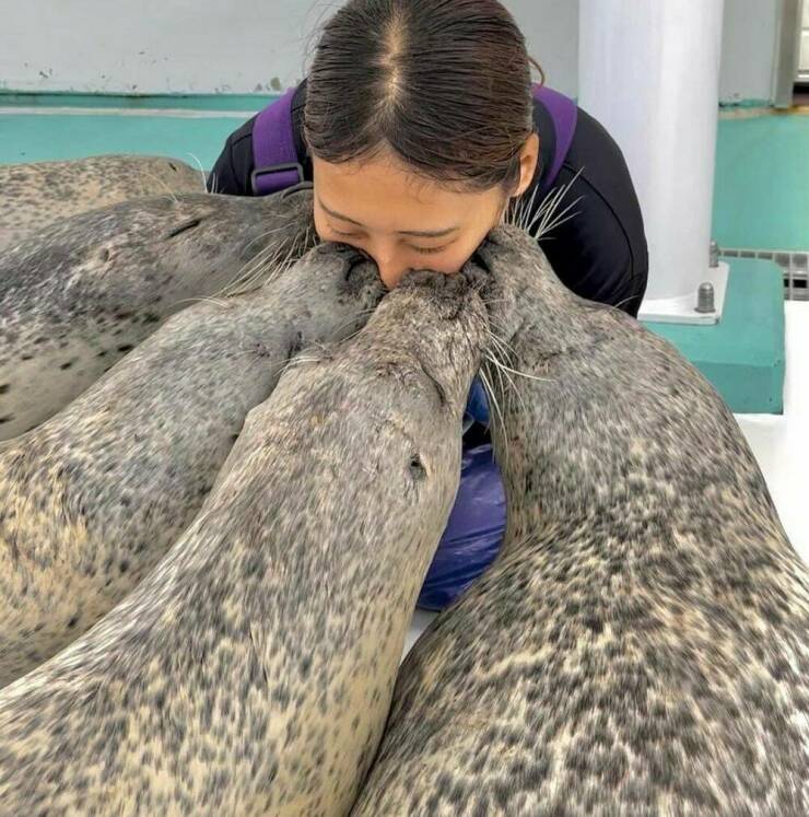 Morning Picdump Morning Picdump