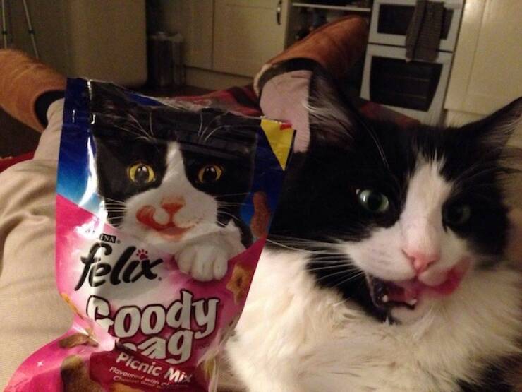 The Perfect Shot Comes Down to Perfect Timing The Perfect Shot Comes Down to Perfect Timing