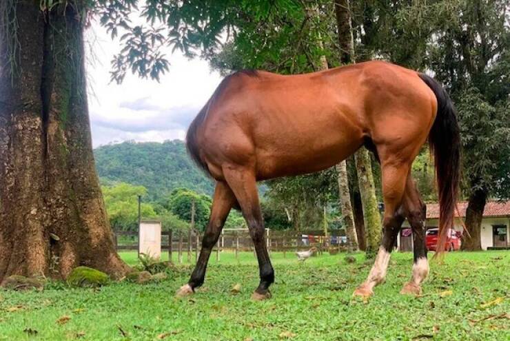 The Perfect Shot Comes Down to Perfect Timing The Perfect Shot Comes Down to Perfect Timing