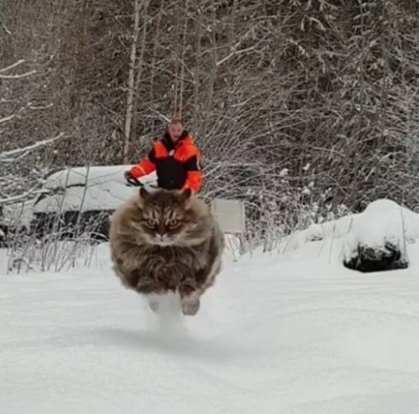 The Perfect Shot Comes Down to Perfect Timing The Perfect Shot Comes Down to Perfect Timing