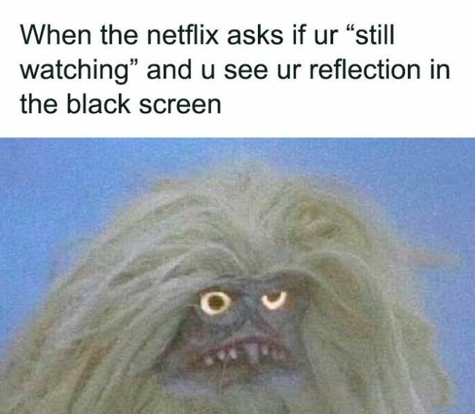 These Memes Know Too Much About Your Life These Memes Know Too Much About Your Life