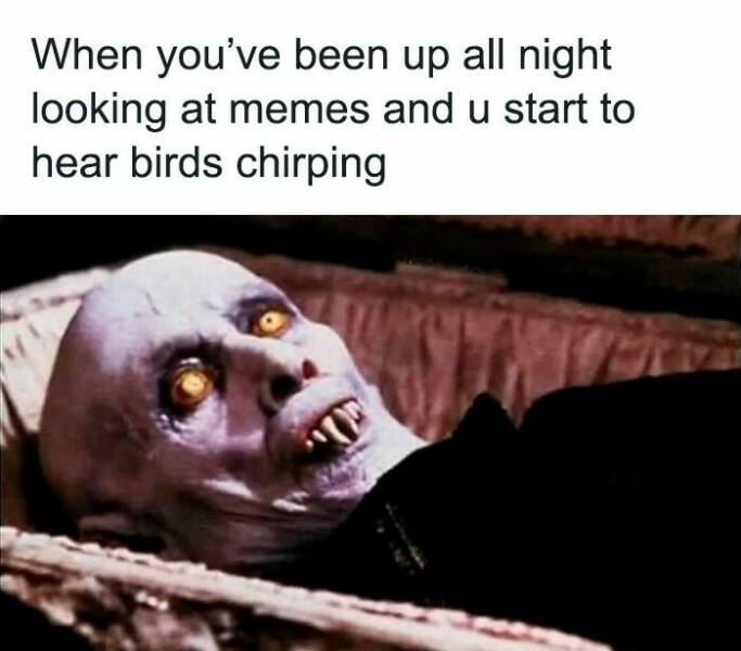 These Memes Know Too Much About Your Life These Memes Know Too Much About Your Life