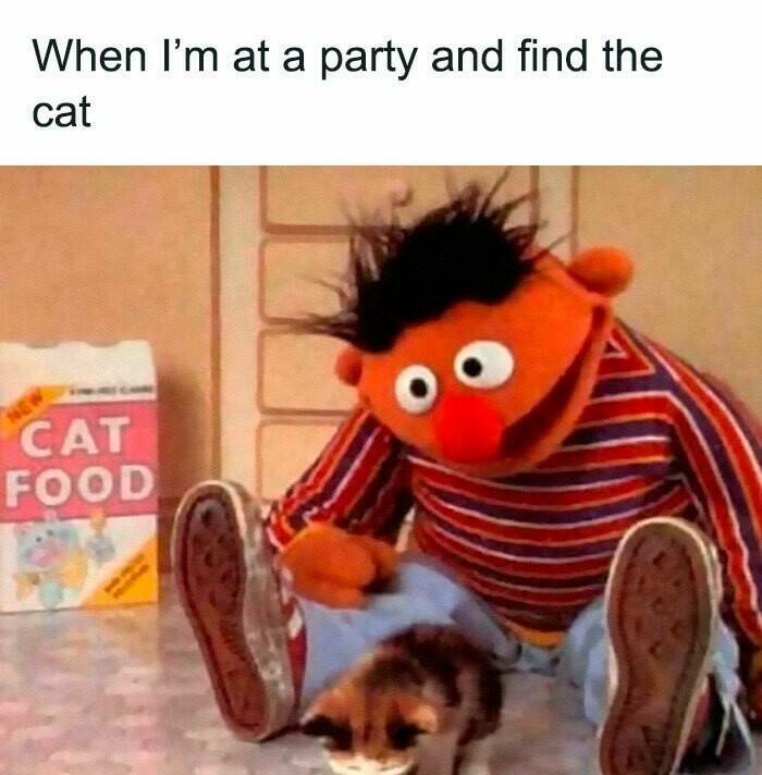 These Memes Know Too Much About Your Life These Memes Know Too Much About Your Life