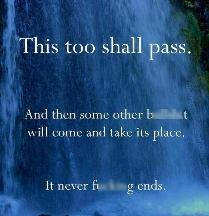 These Memes Know Too Much About Your Life These Memes Know Too Much About Your Life