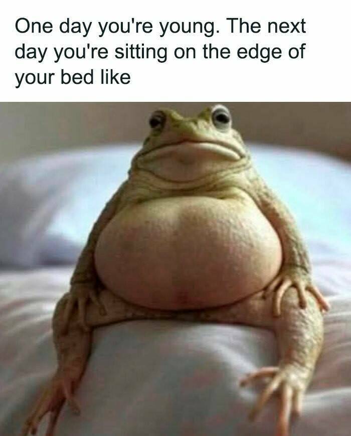 These Memes Know Too Much About Your Life These Memes Know Too Much About Your Life