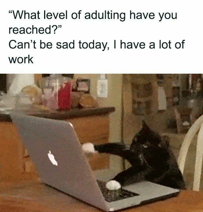 These Memes Know Too Much About Your Life These Memes Know Too Much About Your Life