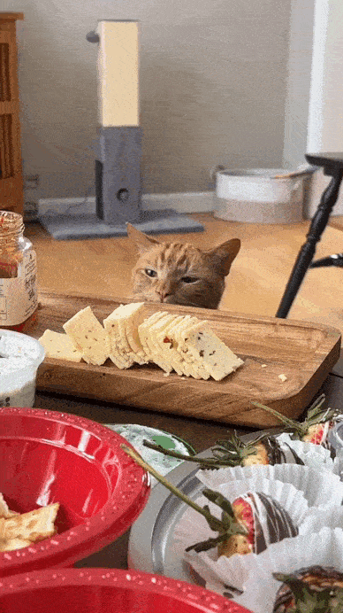 Daily Gifdump Daily Gifdump