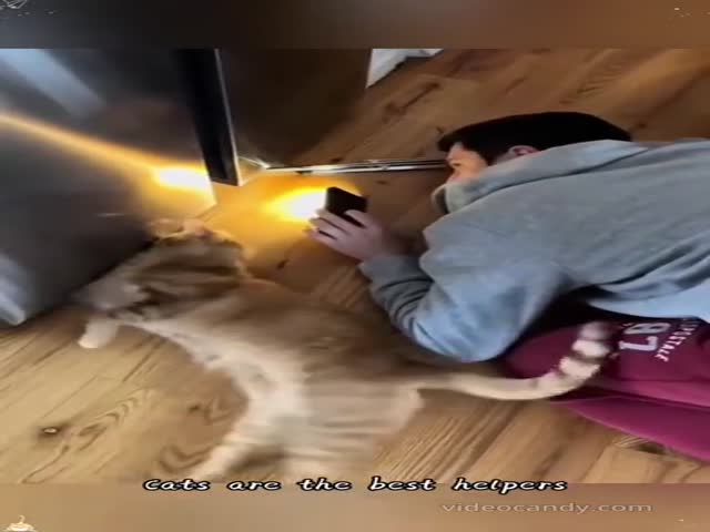 Great Helpers