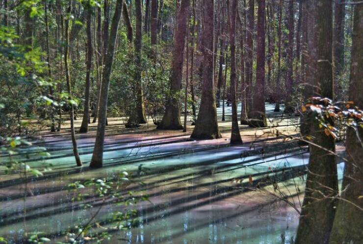 Earth’s Strangest Phenomena Caught on Camera