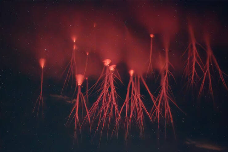 Earth’s Strangest Phenomena Caught on Camera