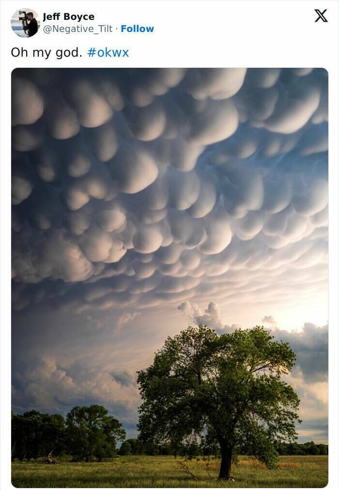 Earth’s Strangest Phenomena Caught on Camera