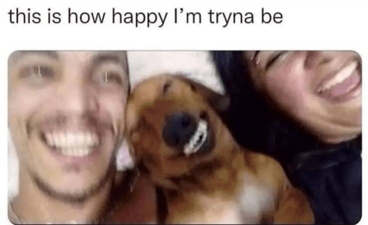 Funny Picdump Funny Picdump