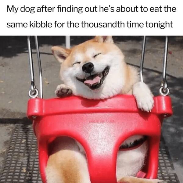 Funny Picdump Funny Picdump