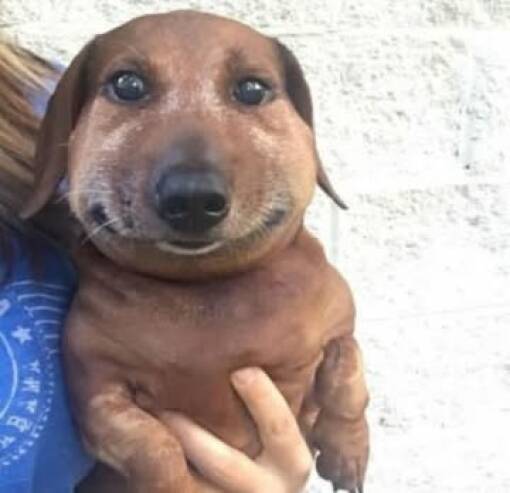 Morning Picdump Morning Picdump