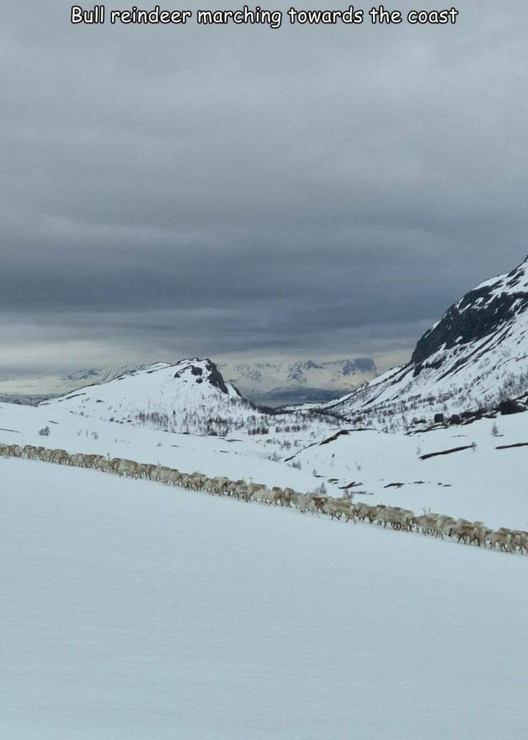 Morning Picdump Morning Picdump