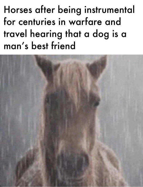 When History Meets Humor When History Meets Humor