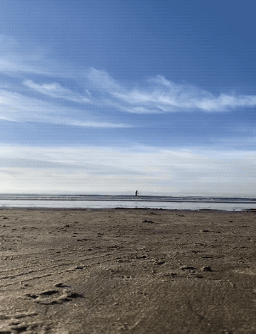 Well, Didnt See That Coming