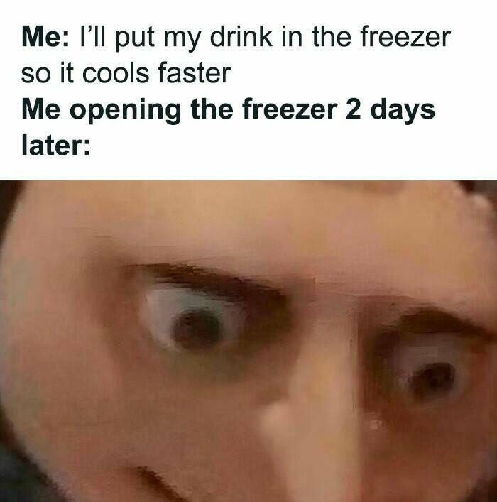 Everyday Things No One Mentions — Until Memes Make Them Hilarious