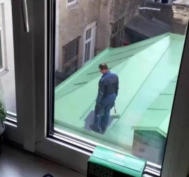 Funny Photos Guaranteed To Make Even The Most Hopeless Smile