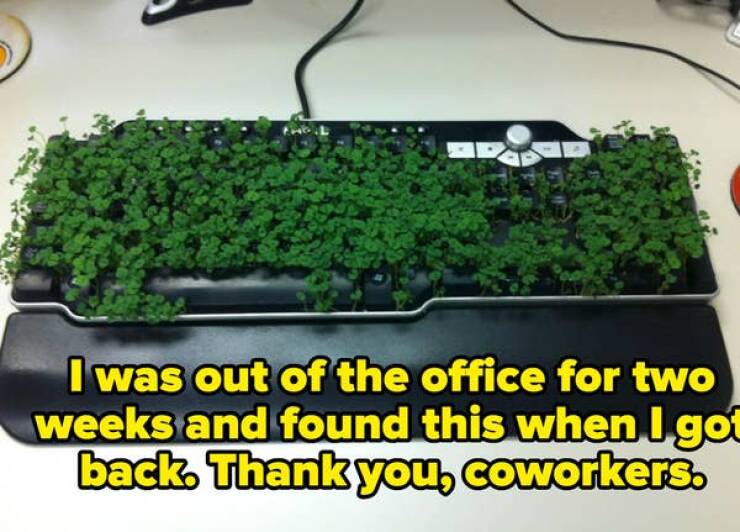 Funny Photos Guaranteed To Make Even The Most Hopeless Smile