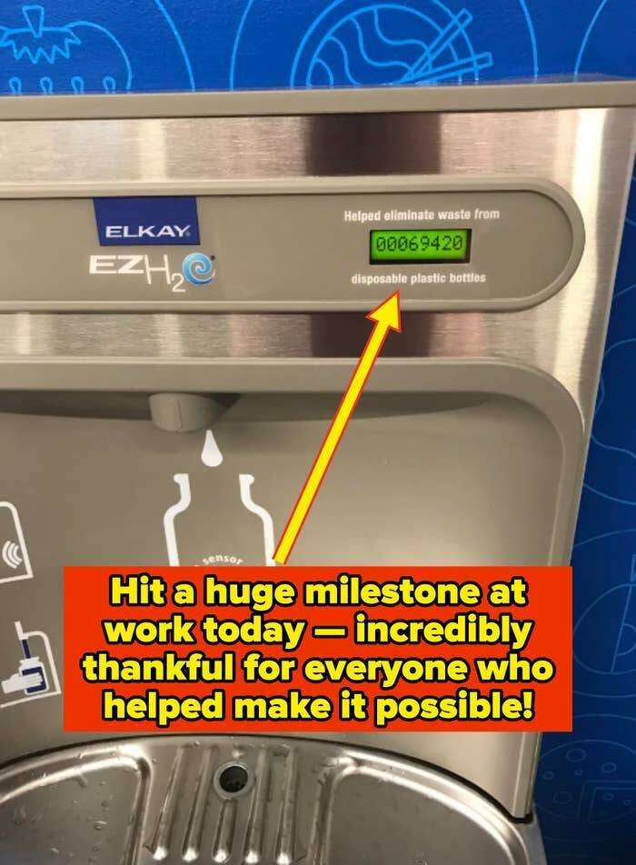 Funny Photos Guaranteed To Make Even The Most Hopeless Smile