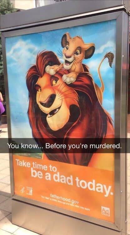 Funny Photos Guaranteed To Make Even The Most Hopeless Smile